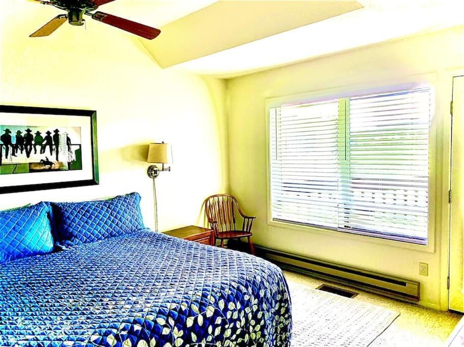 Talisman Amazing Views Walk To Uptown Sleeps 4 Βίλα Pagosa Springs Εξωτερικό φωτογραφία